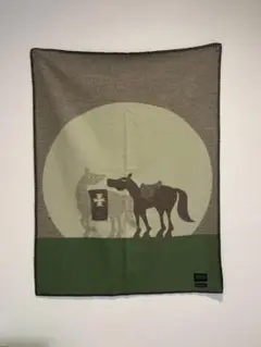 PENDLETON Custom Muchacho Blanket