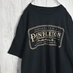【入手困難】ペンドルトン PENDLETON Tシャツ #972