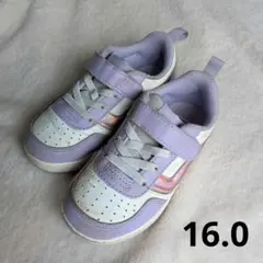 VANS スニーカー 16.0 ローカット