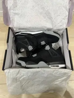 Air Jordan 4 SE Black and Light Steel