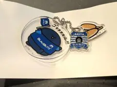 【お文具といっしょ】ブラウブリッツ秋田　3連アクリルキーホルダー（ランダム）