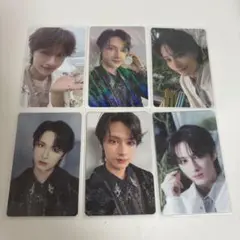 SEVENTEEN ジュン　消費期限　wevers 特典　STF