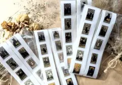 Item thumbnail for item 3e0ea450-e094-4885-802d-b423cb80bb7f