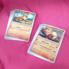 ウィンディ・ガーディ・計20枚セット