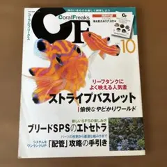 Coral Freaks Vol.10 ストライプバスレット