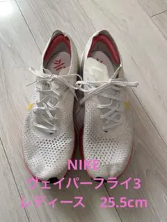 Item thumbnail for item 772afbdb-9bdb-41ab-9bfe-5eceb2df566b