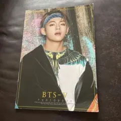 ＢＴＳ-V フォトブック　写真集　非売品⁈