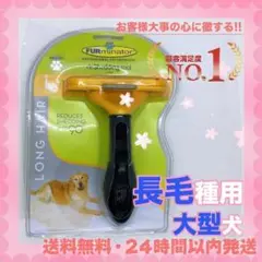 Item thumbnail for item 56eac998-0b4b-4d5f-a859-944e53b45955
