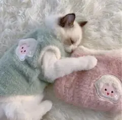 Item thumbnail for item 83366e1b-7c96-415e-8613-6e3541bc90f8