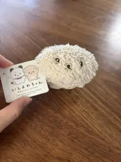 いしよわちゃん ぬいぐるみ タグ付き