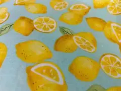 ●小さめレモン●ペパーミントグリーン●オシャレ●生地幅‪‪✕‬51cmぐらい