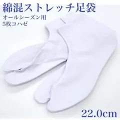 Item thumbnail for item 6b92ae16-9acd-4f2f-9345-7aa3d8a8088a