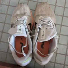 Nike ウィンフロー09 シューズ