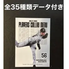 マリーンズトレカ PLAYERS COLLAB MENUトレカ 全35種データ付