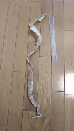 天然物 蛇の抜け殻 頭なし