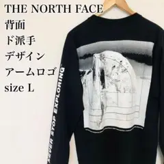 【ボックスロゴ】ド派手 ノースフェイス アームロゴ ロンT ブラック 黒 L