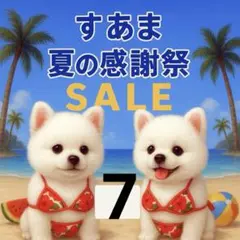 ✨夏の感謝祭セール✨パネル【Ｎｏ．7】