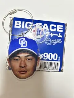Dragons BIG FACE ワイヤーチャーム
