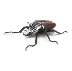⑧ いきもの大図鑑 かぶとむし 03 ゴライアスオオツノハナムグリ ガチャ