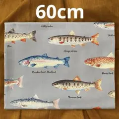 コットンこばやし　トラウト60ｃｍ　魚/さかな/サカナ/フィッシュ/釣り