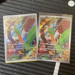 トロピウス　ar 2枚セット