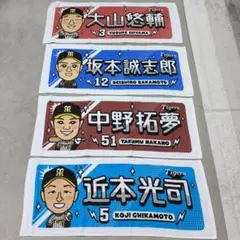 【早いもの勝ち！】阪神タイガース フェイスタオル