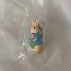 ピーターラビット™ めじるしアクセサリー　デザインB