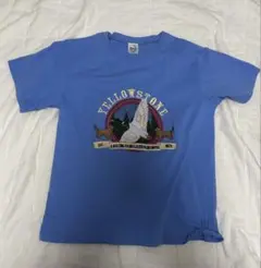 Tシャツ 青