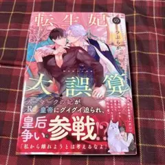 BL 小説　転生妃の大誤算