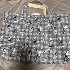 ディズニー　レッスンバッグ