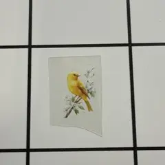 黄色い鳥のカットアウトステッカー