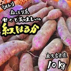 【鹿児島産】紅はるか 10㎏ 訳あり さつまいも 鳴門金時好きにもe