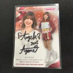 Item thumbnail for item 3d244a3b-7c24-4d5b-9a5e-e89baf9b7b4b