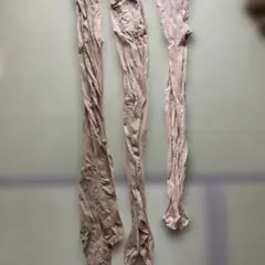 ベージュ ストッキング 3足セット