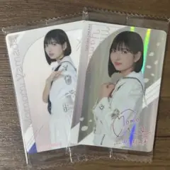 Item thumbnail for item 8a0ae303-a40f-49e5-922d-04733ecd15f8