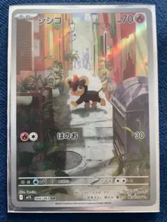 シシコ　AR