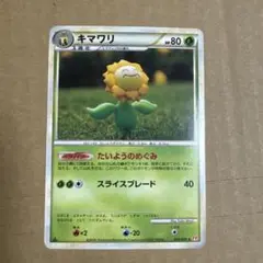 キマワリ ポケモンカード ポケモンカード 2008