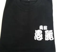 函館　空港限定　GLAY HAKODATE CITY Tシャツ　Mサイズ GLAY 函館空港TERUプロデュース HAKODATE STUDIO Tシャツ - メルカリ