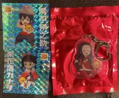 鬼滅の刃 コジマ アクリルキーホルダー 竈門禰豆子　伊之助　カナヲ　シール