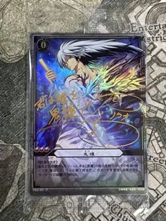 声優 堀江由衣 雪女 つらら箔押しサインカード ぬらりひょんの孫 ぬら孫 TCG 声優 堀江由衣 雪女 つらら箔押しサインカード ぬらりひょんの孫