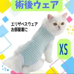 Item thumbnail for item c718f043-ec7b-48d0-9a9b-9fbcc7ae04d1