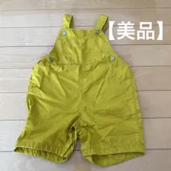 プチバート　12m