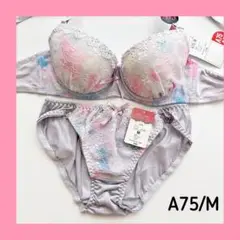 【♡/ラス1/sale】J1074PU A75/M ブラショーツセット
