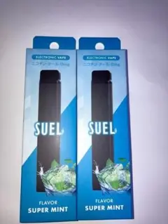 電子タバコ VAPE 禁煙 禁煙グッズ ニコチン0 スーパーミント) 2本セット