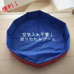 【便利！空気入れ不要】折りたたみプール ベビー 小型犬用