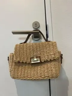 zaraバック
