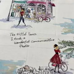 小関鈴子　LUSTER SCARE RED LINE 生地 43cm