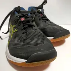 アシックス ROTE JAPAN LYTE FF 3 ローテジャパンライト 3