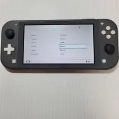 Nintendo Switch Lite グレー 本体　ワケアリ