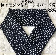 Item thumbnail for item 85251b18-0758-4b9c-a19a-a84cde4c2330